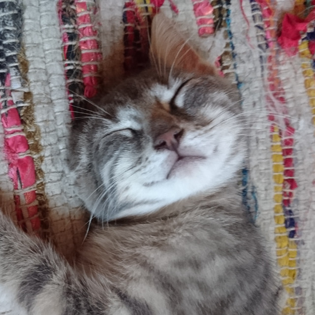 Barbara