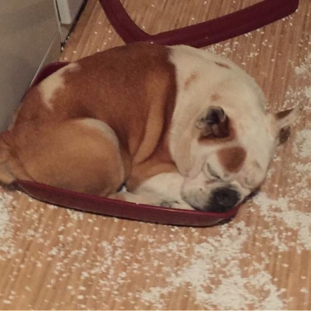 Sabine