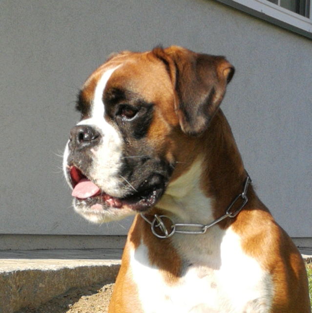 Silke