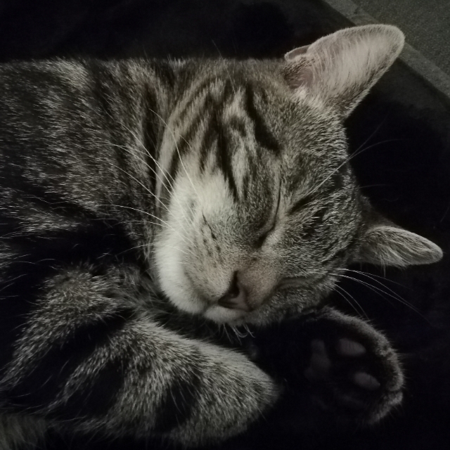 Kiki
