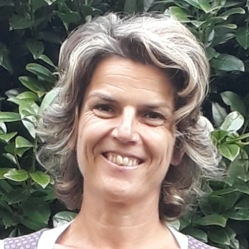 Judit