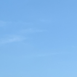 VeraG