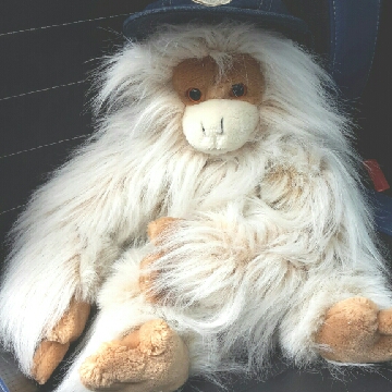 Margit