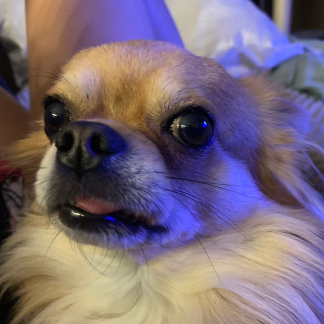 René