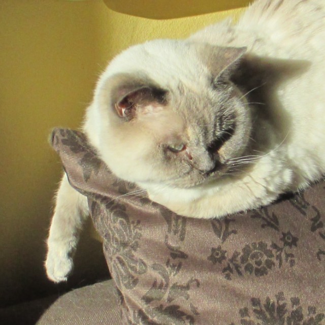 walter