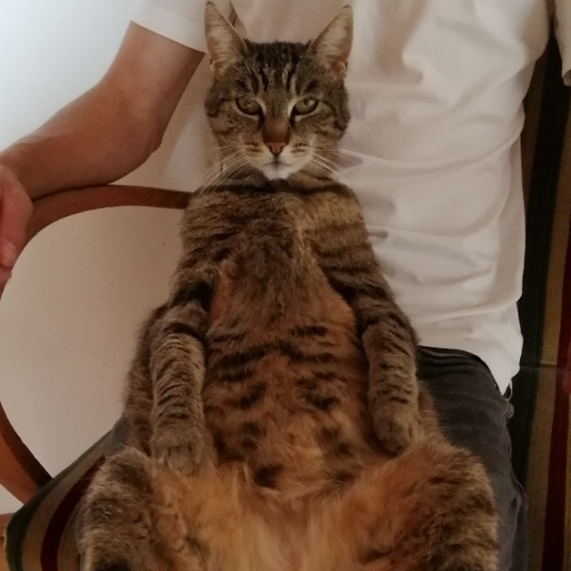 R.
