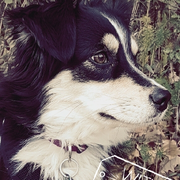 Sabine