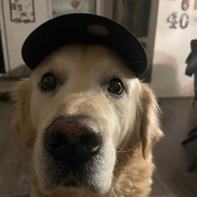 Heidi