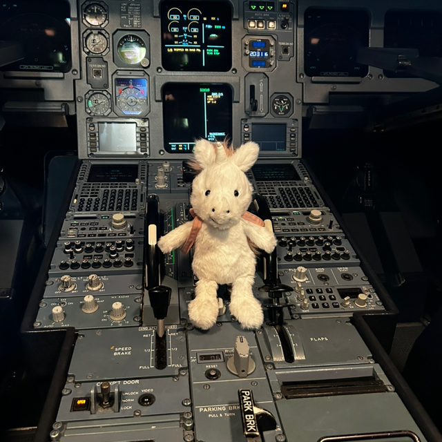 Einhorn