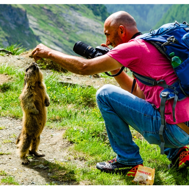 Honda Africa Twin XRV 750 RD04 Sitzbank schwarz, € 190, (9020