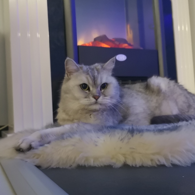 Bianca