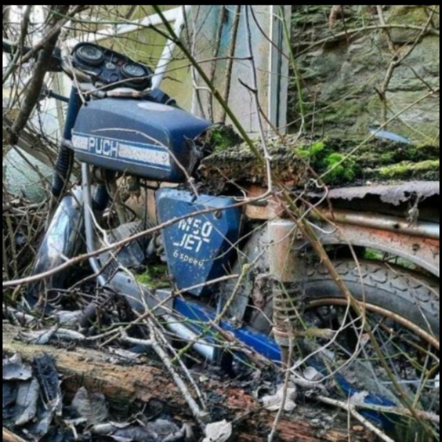 Puch