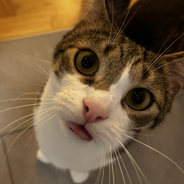 J.