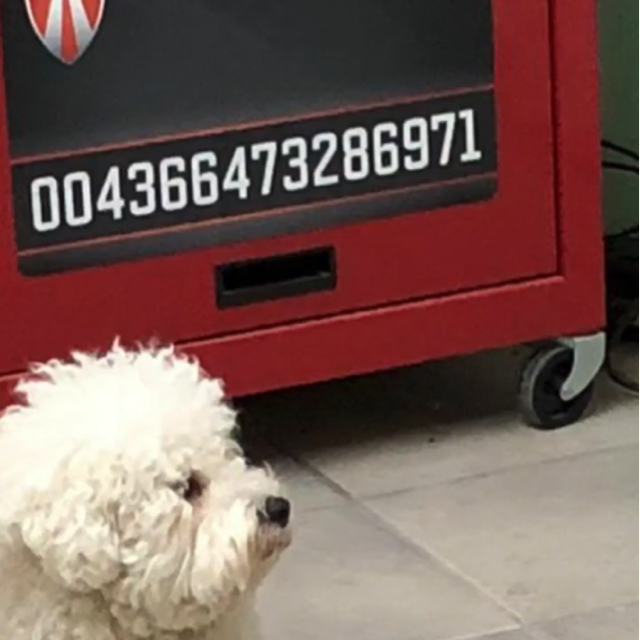 Kurt Aigner Hundestylist