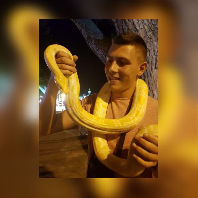 Milan Ristic