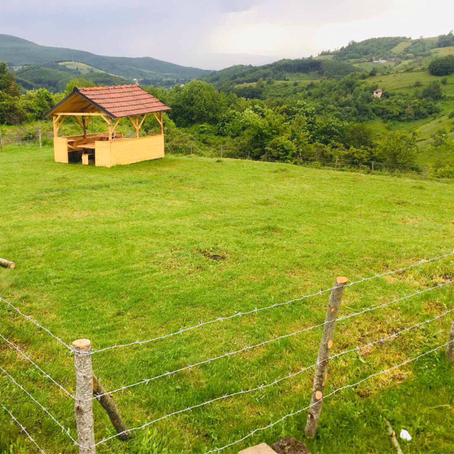 Beni