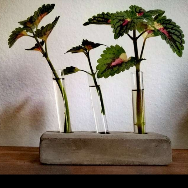 Auermatz