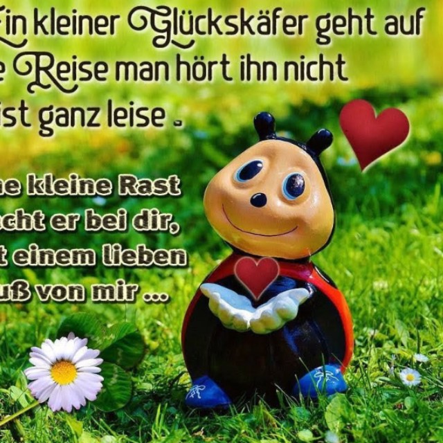 Elfi