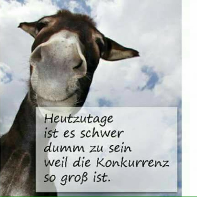 Andreas