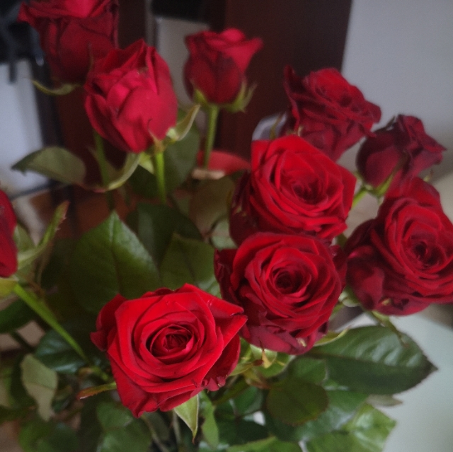 Jasmin
