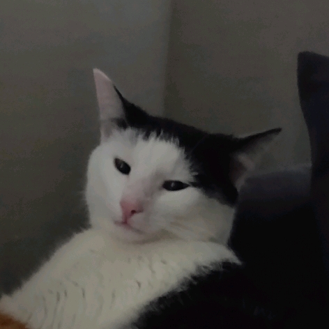 Paul