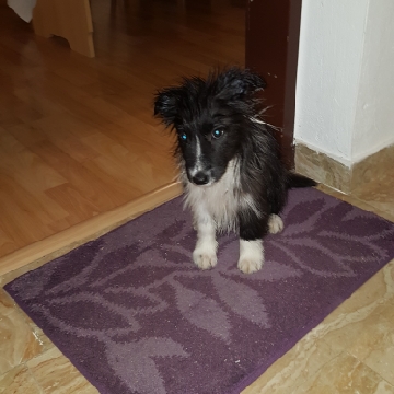 Manuela