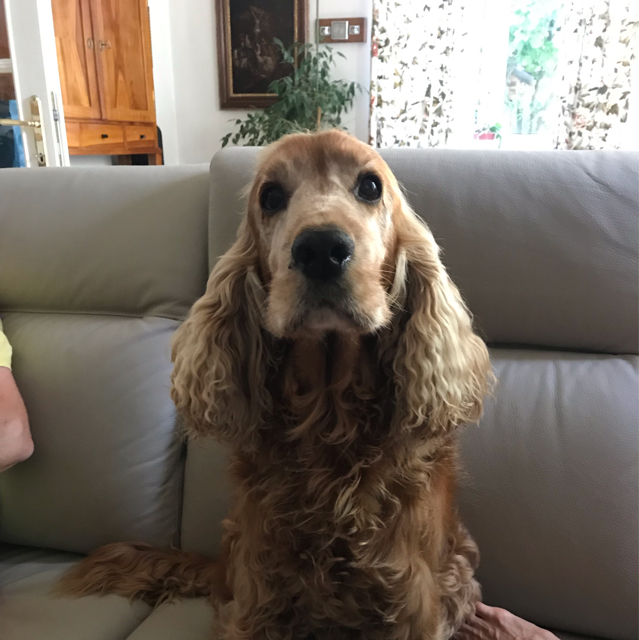 Julia