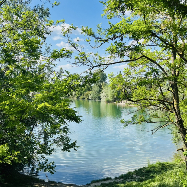 Verkäufer