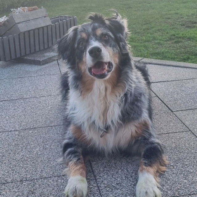 Nina