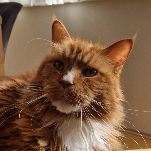 Thomas