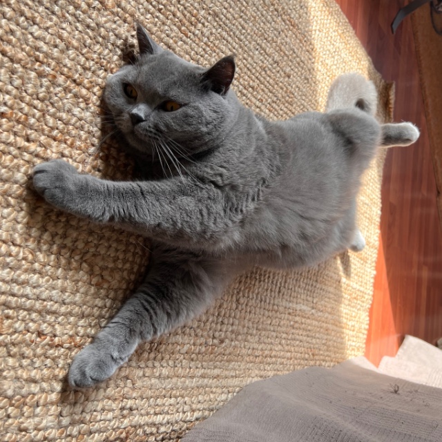 Felipe