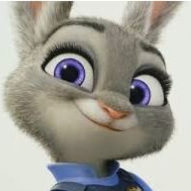 Judy