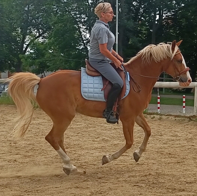 Katrin