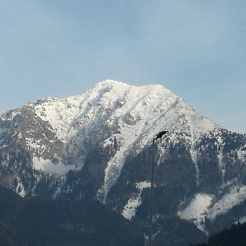 Helmut