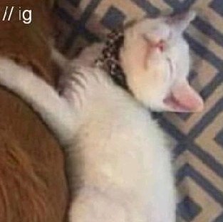 A.M