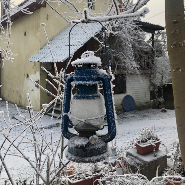 Ich