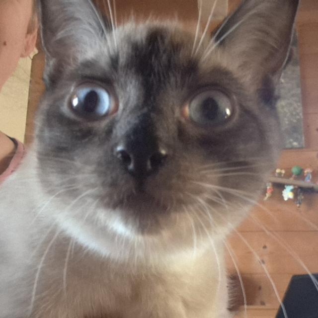 Marie