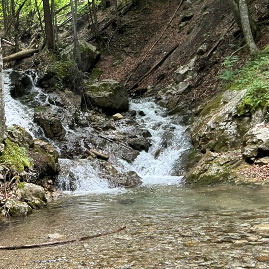Samarei