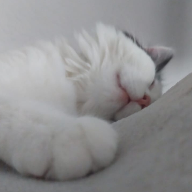 Röu
