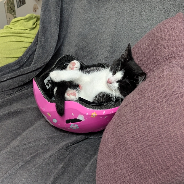 Sabrina