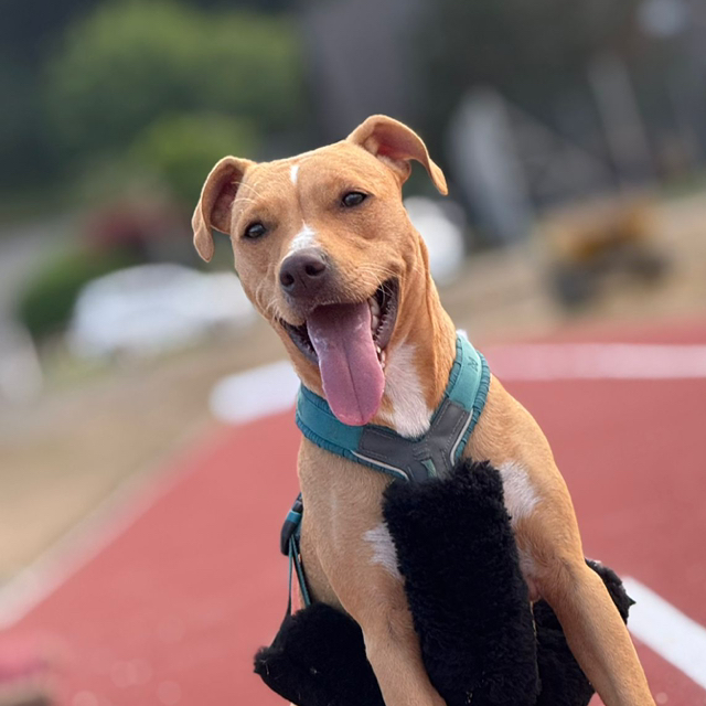 Marco