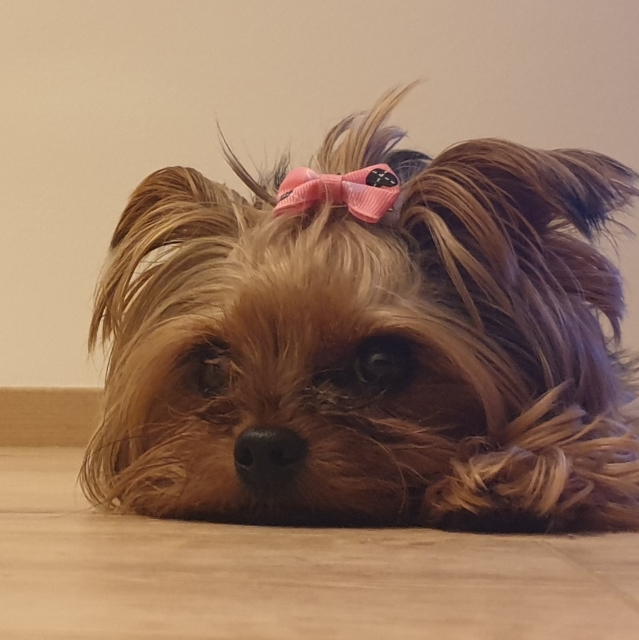LENA