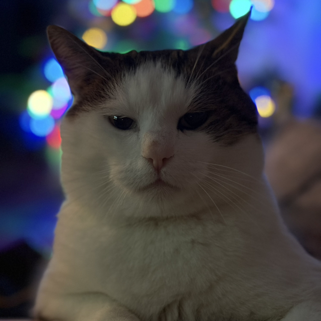 Lukas