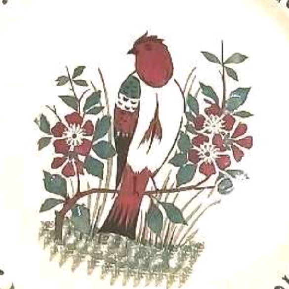 Vera