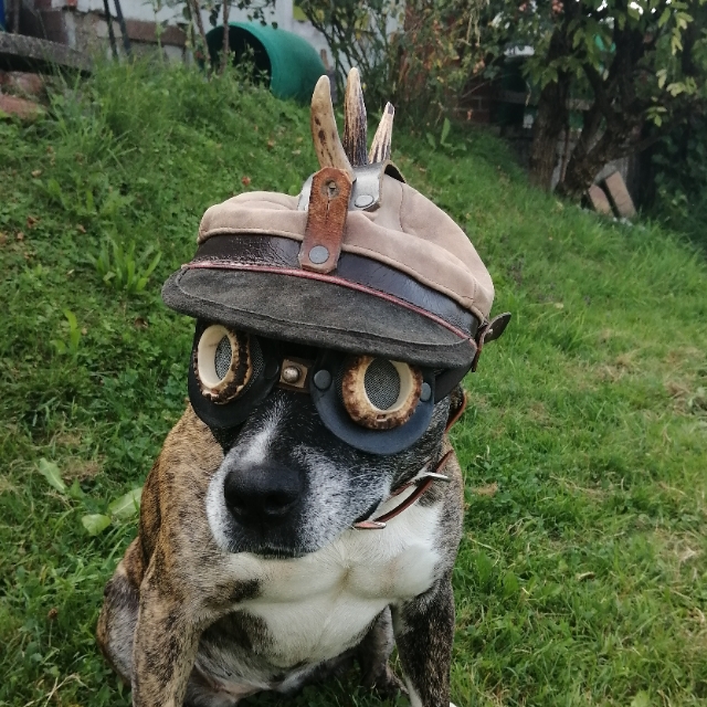 manuel