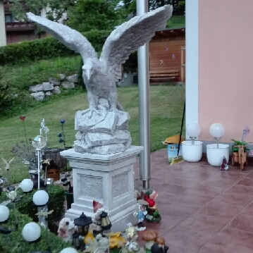 Fredy
