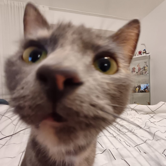 Kübra