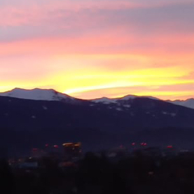 Roland
