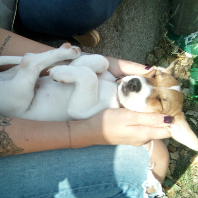Martina