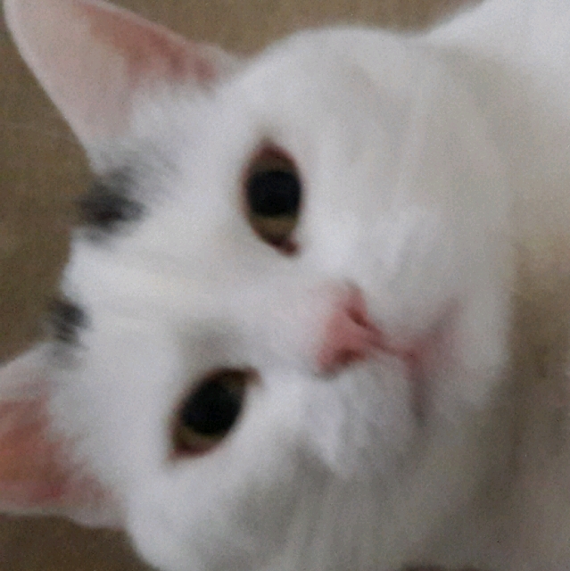 Alexandra